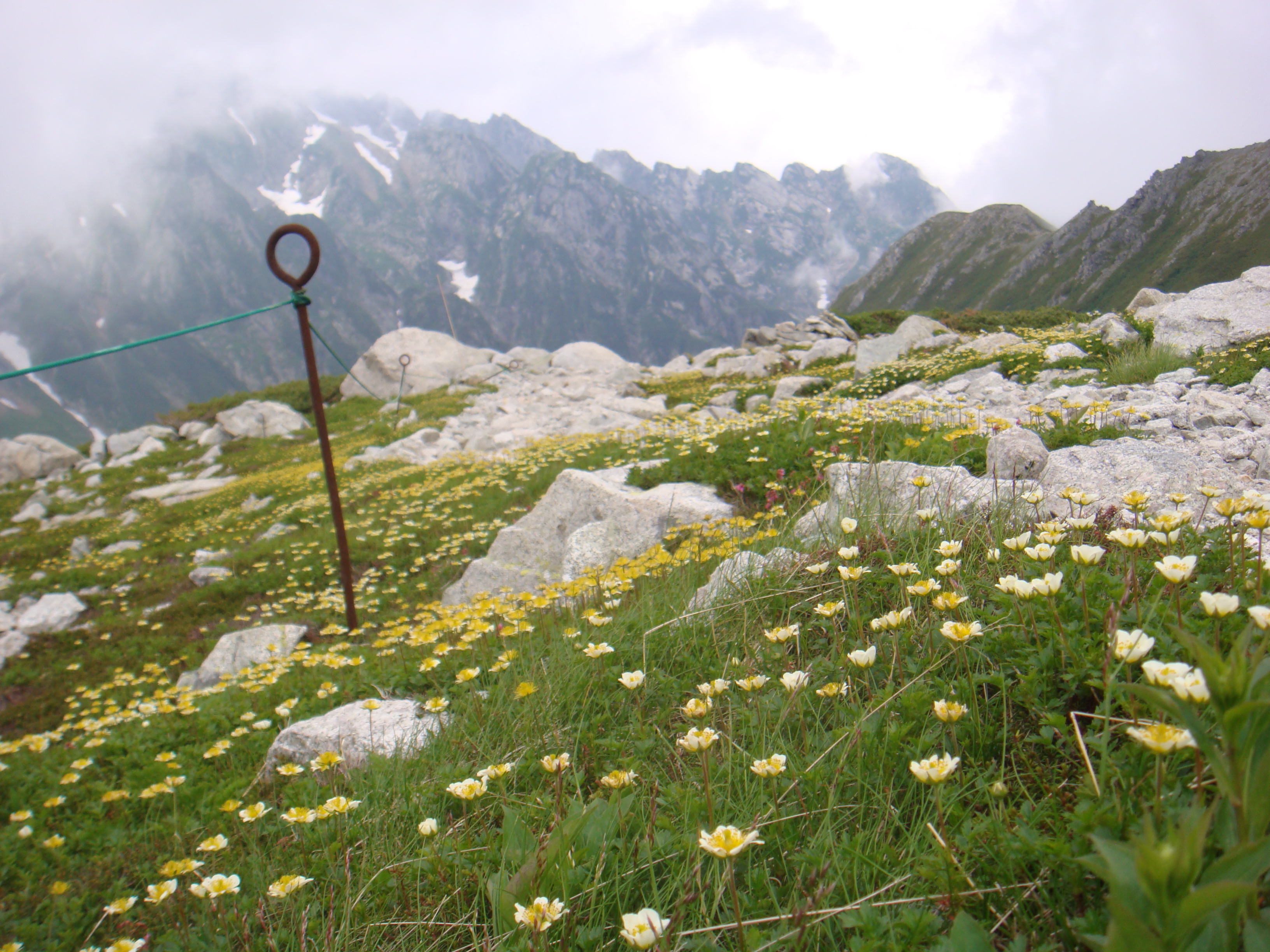 剱岳 八ツ峰 Ⅵ峰・Cフェース 剣稜会ルート - 山岳ガイド佐藤勇介 HP